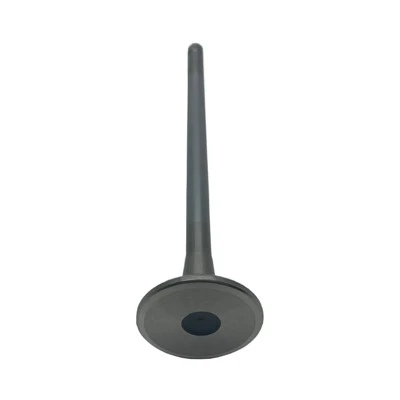 Cummins 5,9 L/ 12 vàlvules 24 V/6,7 L Part de subministrament de combustible del motor 3417779X